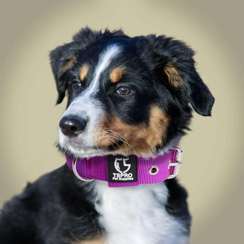 TSPRO Tactical Dog Collar 1.25 Inch Wide Thick Dog Collars with Heavy Duty Metal Buckle, Durable, Strong, Adjustable for Small Dogs (Purple S)