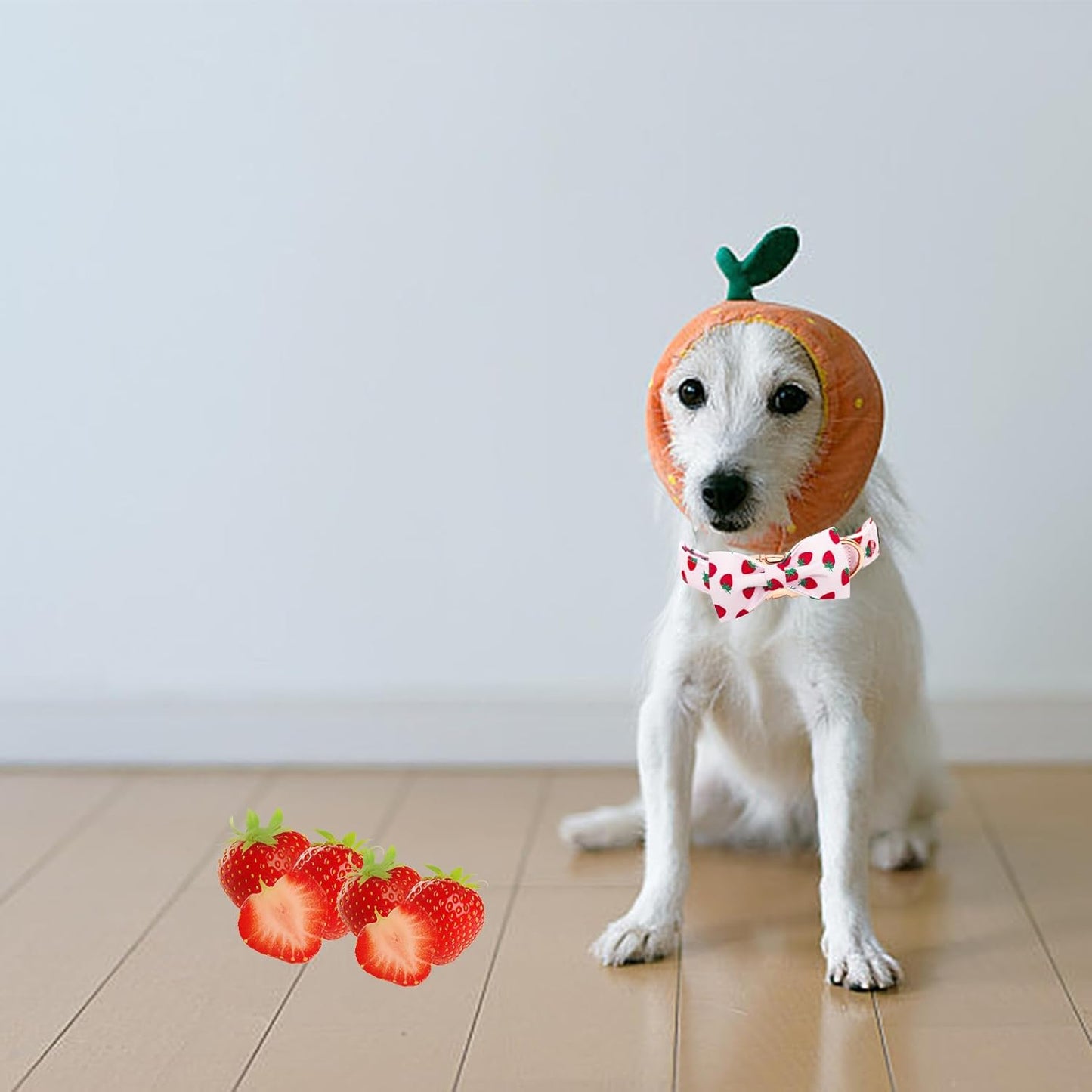 Elegant little tail Dog Collar, Strawberries Print Pet Collar Summer Dog Collar Durable Metal Buckle Dog Collars Cotton Pet Adjustable Dog Collars for Medium Dogs