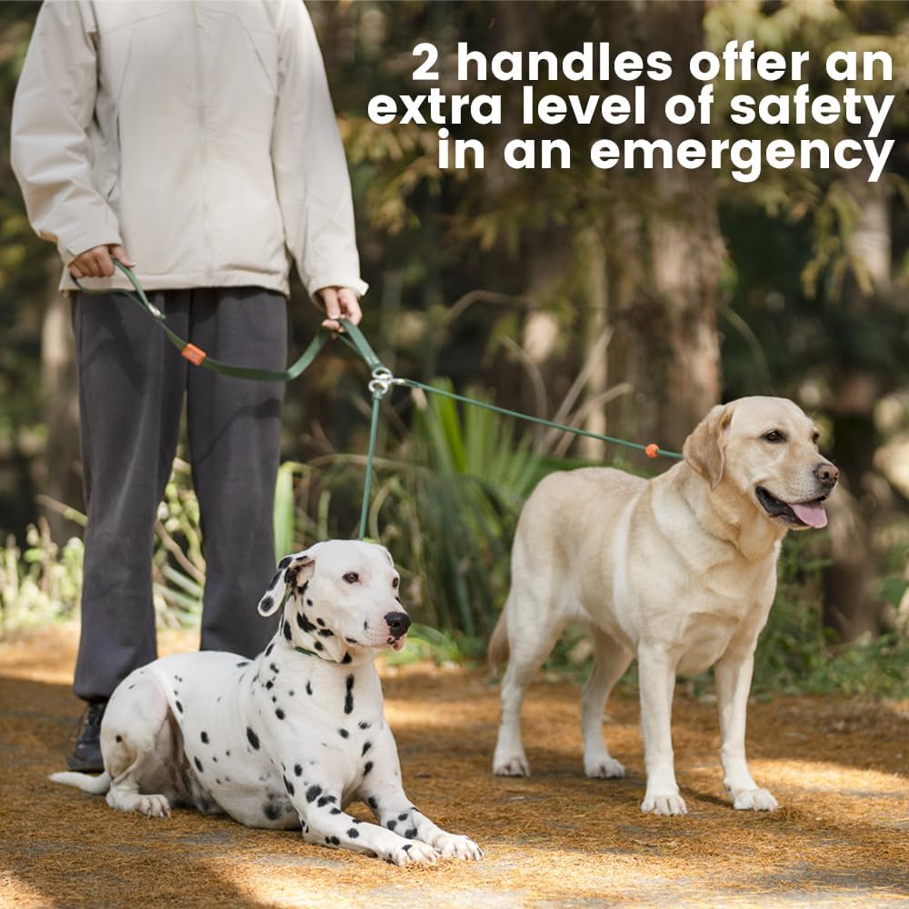 Howgo Double Slip Leash Slip Lead with Two Handles| Dual Dog Slip Lead for 2 Dogs,360° Swivel No Tangle | Dog Training Collar | Double Clip Leash Coupler and Splitter (Black, 6FT)