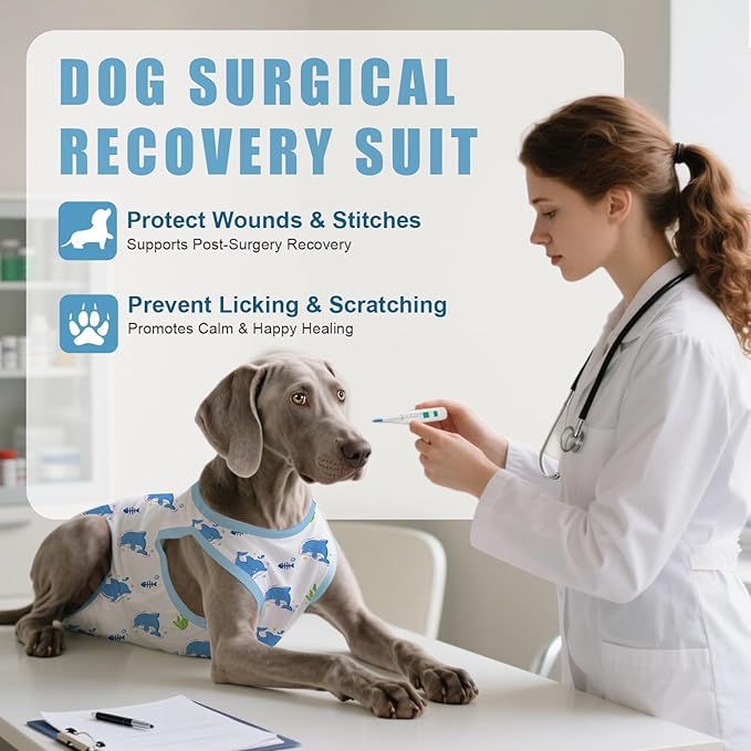 Recovery Suit for Dogs After Surgery, Professional Dog Surgical Suit for Female Spay, Male Neuter, E-Collar & Cone Alternative Dog Onesie for Abdominal Wounds Skin Disease, Blue, XL