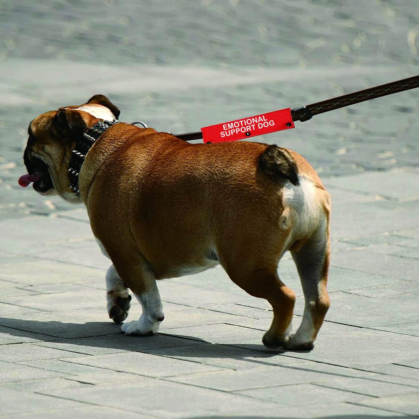 Therapy Service Dog Leash Sleeve Emotional Support Dog Leash Wrap Alert Hanging ID Patch Tag Pet Birthday Gift(Emotional Dog-Sleeve)