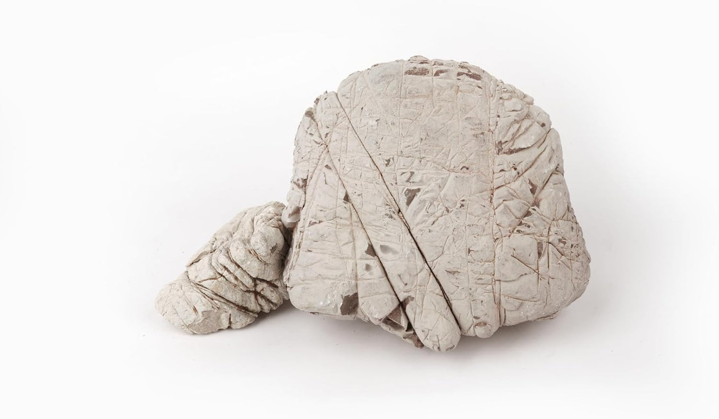 LANDEN Elephant Skin Stone Natural Multi-Texture Rocks Grey(18lbs, 3~9 inches,7pcs) for Aquarium, Paludarium, Terrariums, Landscaping, Decorative of Caves, Waterfalls, Cliffs