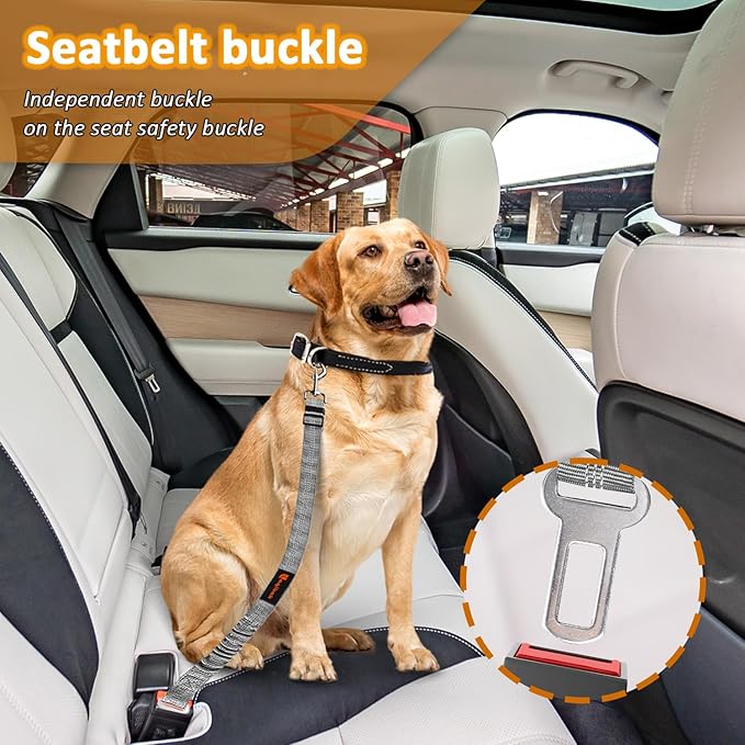 Removable Dog Seat Belt Harness for Car, 3 in 1 Pet Dog Car Seatbelt Leash, Retractable Restraint Secures to Vehicle Headrest & Adjustable Reflective Bungee Dog Seatbelt Tether, Grey