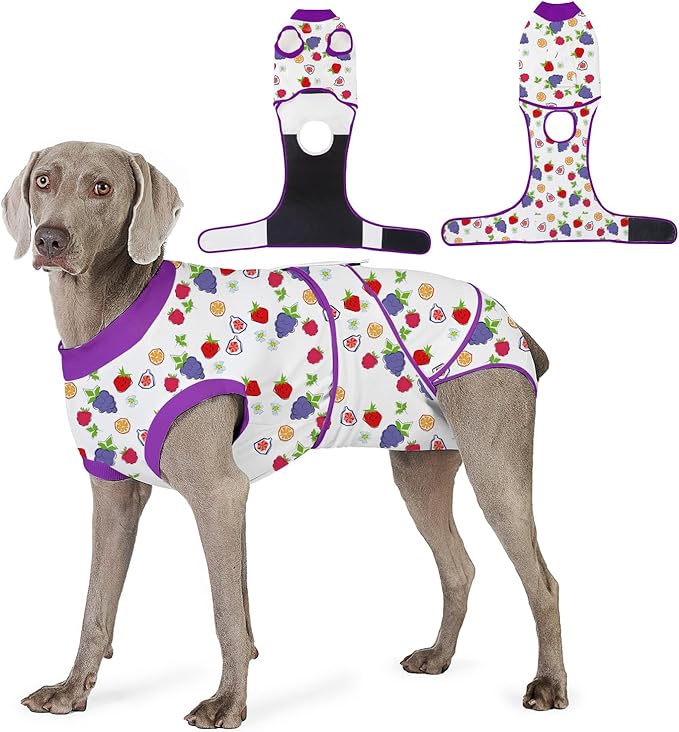 Recovery Suit for Dogs After Surgery, Professional Dog Surgical Suit for Female Spay, Male Neuter, E-Collar & Cone Alternative Dog Onesie for Abdominal Wounds Skin Disease, Purple, XS
