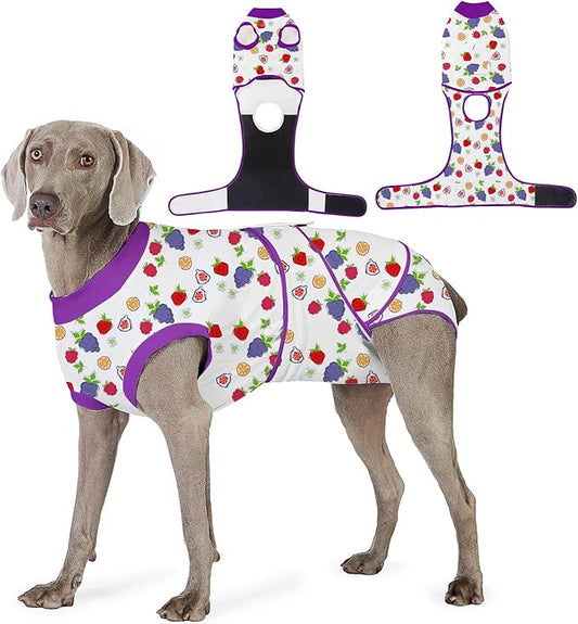 Recovery Suit for Dogs After Surgery, Professional Dog Surgical Suit for Female Spay, Male Neuter, E-Collar & Cone Alternative Dog Onesie for Abdominal Wounds Skin Disease, Purple, XS