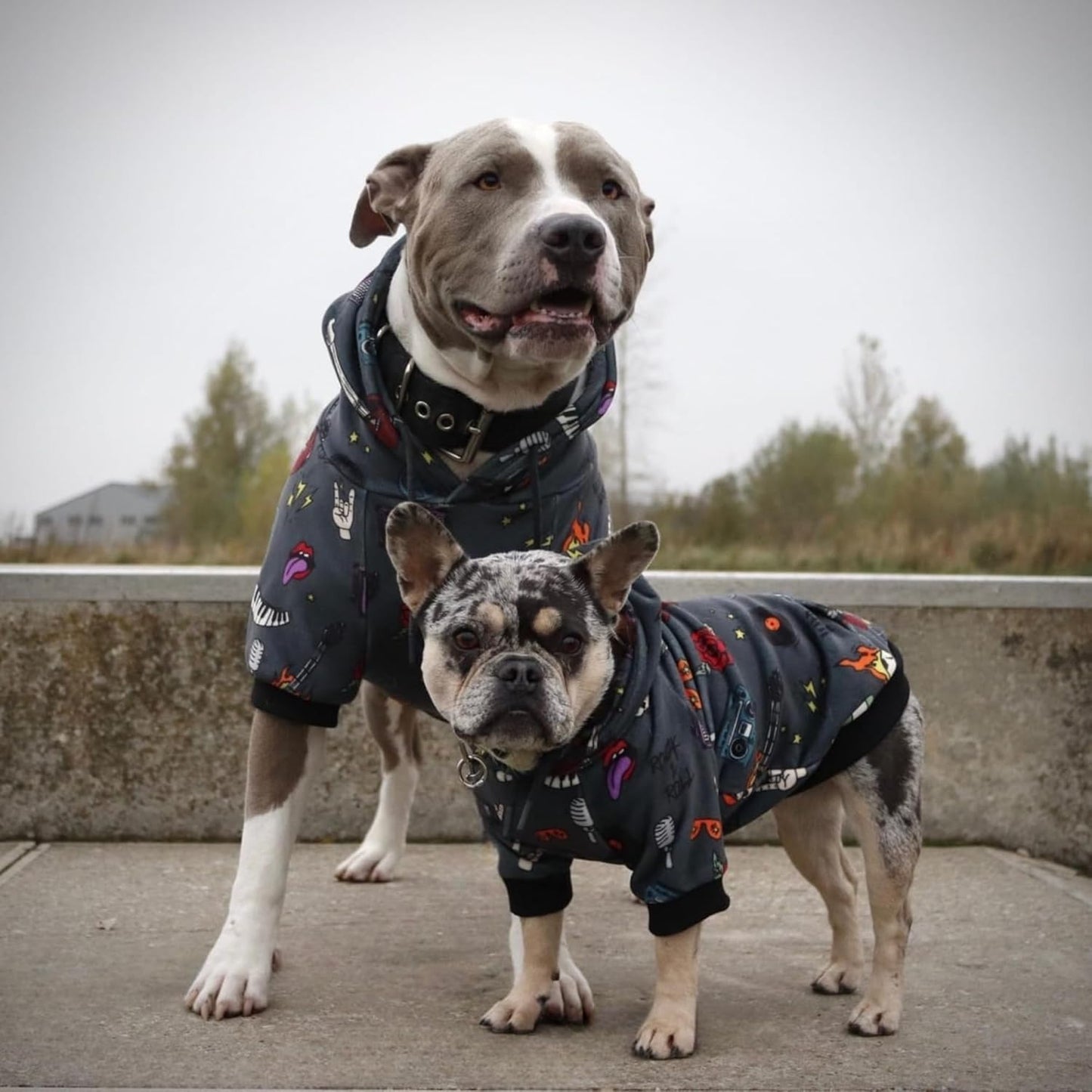 Spark Paws Dog Hoodie – Premium Dog Sweater for Small, Medium, and Large Dogs | Warm Outfits for French Bulldogs, Pitbull, Puppy, Winter Jacket Alternative - Rock and Roll -5XL