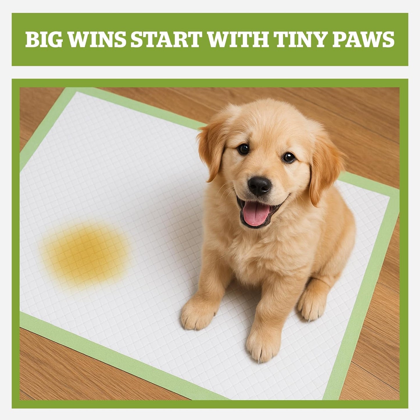 Pogi’s Puppy Pads with Sticky Tabs – Medium, Super Absorbent, Odor Blocking, 40-Count (18x24in)