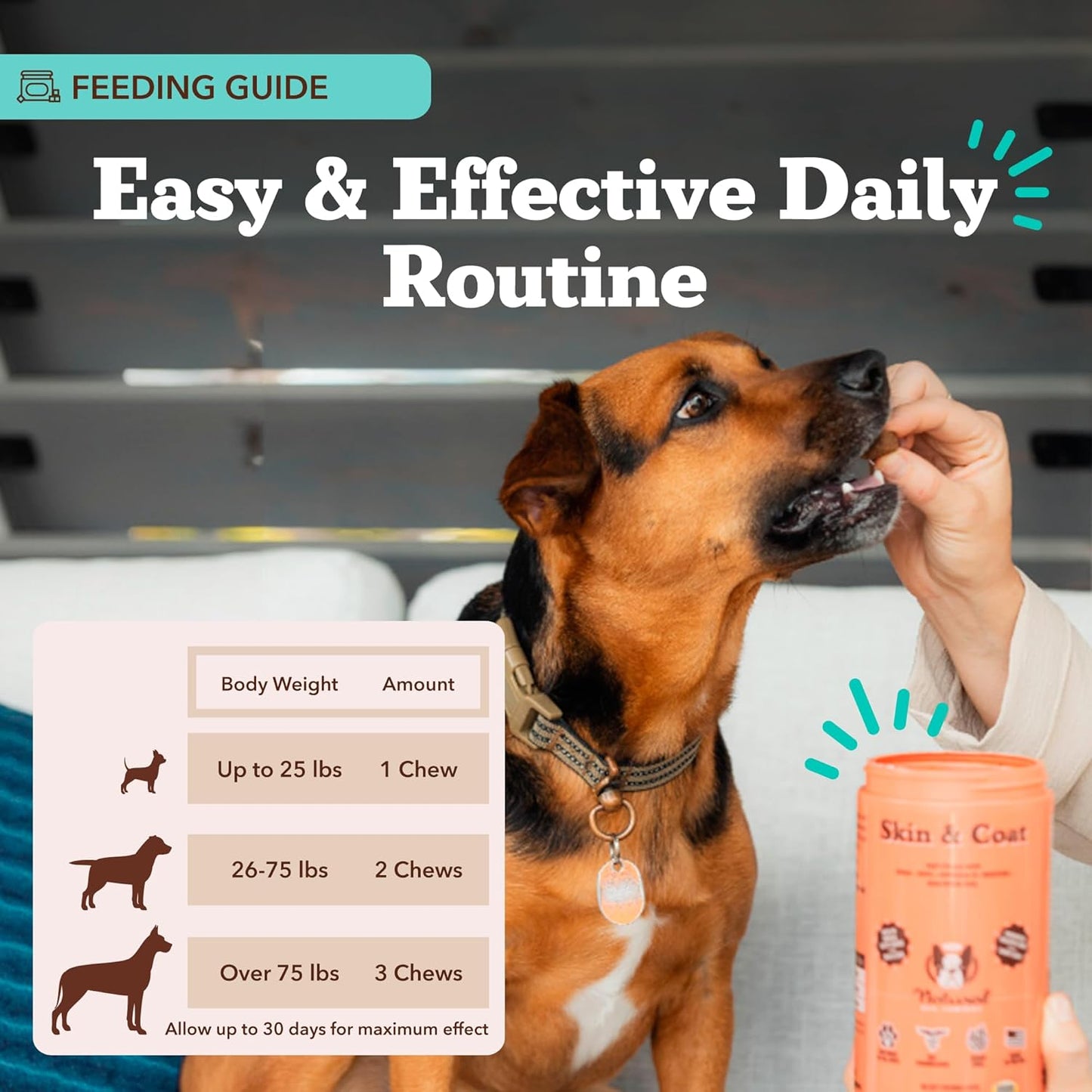 Natural Dog Company Skin & Coat Supplement for Dogs Omega-3 Rich Salmon Oil Chews for Itchy Skin Relief, Shedding & Allergy Support, Shiny Coat Health, with Biotin, Vitamin E, Grain-Free (180 Count)