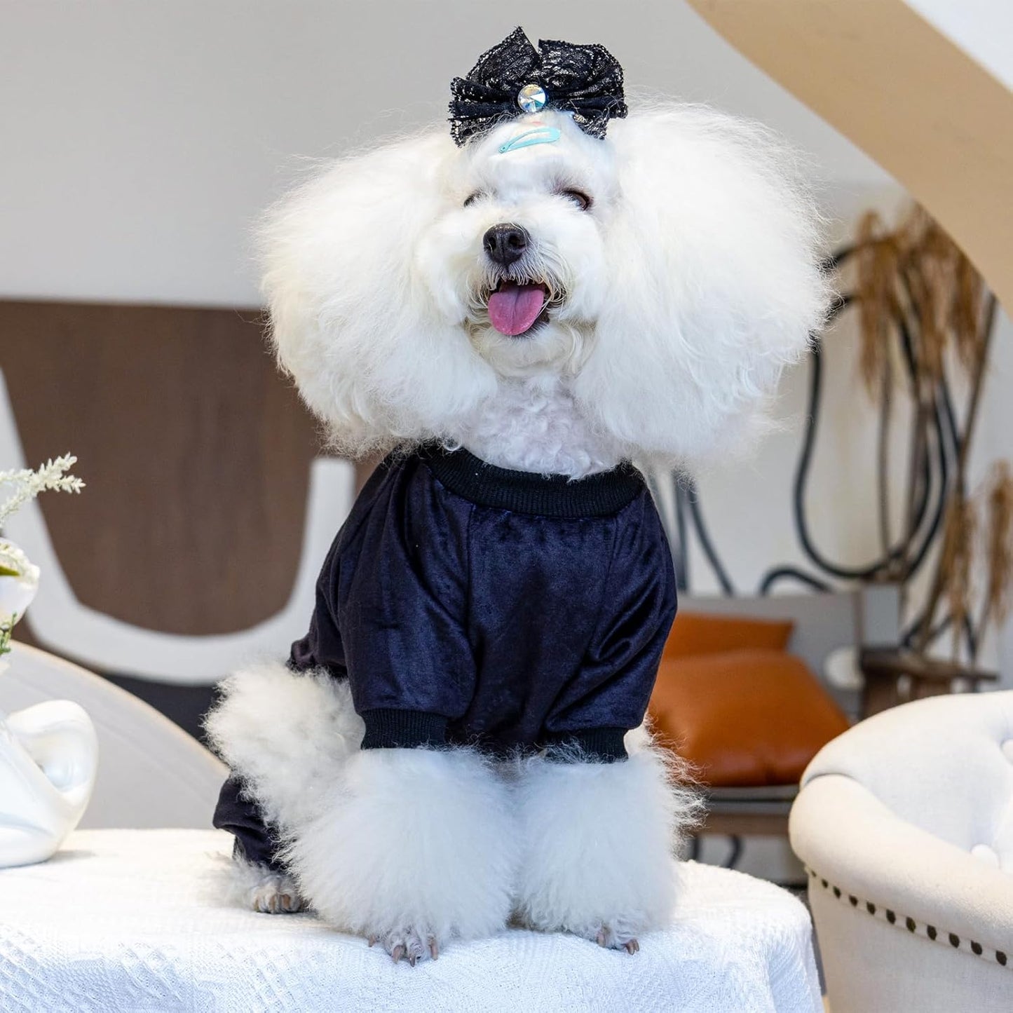 CuteBone Dog Halloween Pajamas Puppy Onesies Small Dogs Soft Pjs Coat Cat Apparel Comfy Pet Christmas Clothes Outfit Doggie Bodysuit P296S