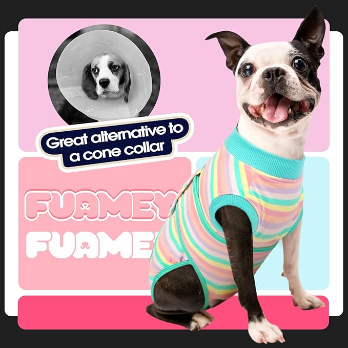 FUAMEY Recovery Suit for Dogs After Surgery,Soft Breathable Dog Bodysuit E-Collar & Cone Alternative Surgical Suit,Male Female Dog Neuter Spay Suits Anti Licking Wounds Onesie Mint Green Stripes XL
