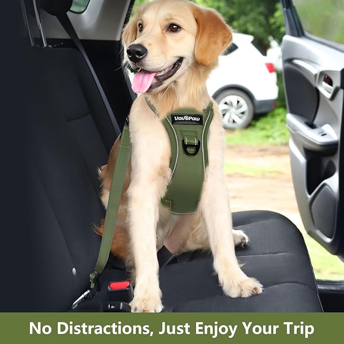 Dog Seat Belt Harness for Car, Dog Car Harness Adjustable Mesh Breathable & Dogs Seatbelt Safety Tether with Elastic Bungee for Small Medium Large Pets(Army Green, S)