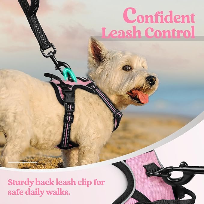 rabbitgoo Dog Harness No Pull with 2 Leash Clips, Adjustable Soft Padded, Reflective Oxford No Choke Pet Vest with Easy Control Handle for Puppy, Pink, XS