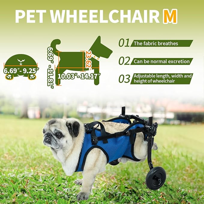 Pet Wheelchair Disabled Hind Legs Walking-Dog Leg Brace and Hip Support，Dog Wheelchair for Back Legs，Adjustable Pet Cart，Assist a paralyzed pet get Back on its feet，Support Leg Brace and Hip (Medium)
