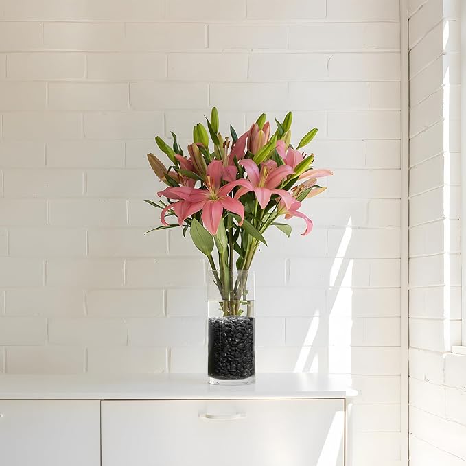 Mr. Fireglass 10 lbs Black Pebbles, 3/8" Natural Decorative Polished River Rocks Aquarium Gravel for Indoor Plants, Vases, Succulents and Outdoor Garden Landscaping