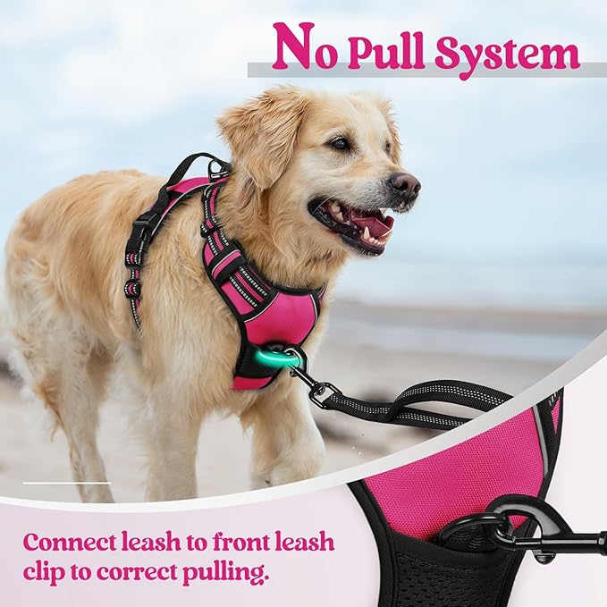 rabbitgoo Dog Harness No Pull with 2 Leash Clips, Adjustable Soft Padded, Reflective Oxford No Choke Pet Vest with Easy Control Handle for Large Dogs, Hot Pink, XL