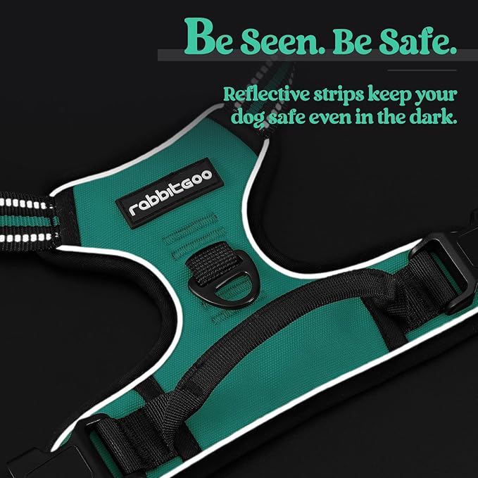 rabbitgoo Dog Harness No Pull with 2 Leash Clips, Adjustable Soft Padded, Reflective Oxford No Choke Pet Vest with Easy Control Handle for Large Dogs, Turquoise, L