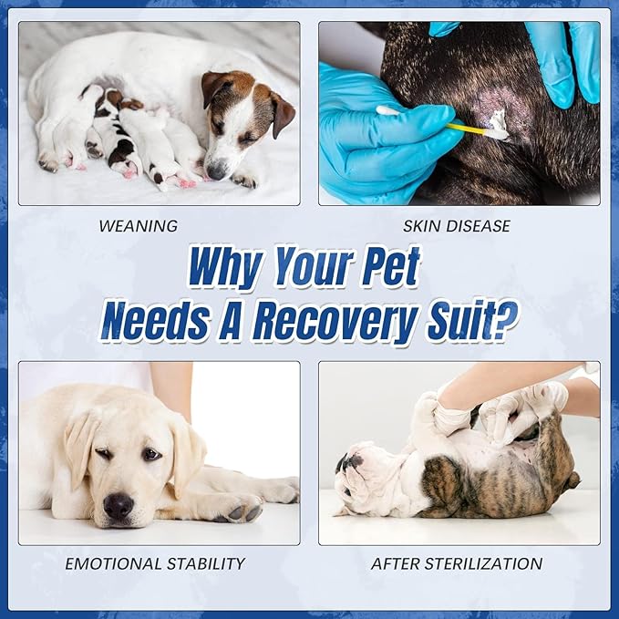 Kuoser Dog Surgery Recovery Suit, Anti Licking Pet Surgical Suit for Dogs Male Neuter, Female Dog Surgery Suit for Spay Subsititute E-Collar Cone, Dogs Body Suits After Surgery Blue Tie Dye M