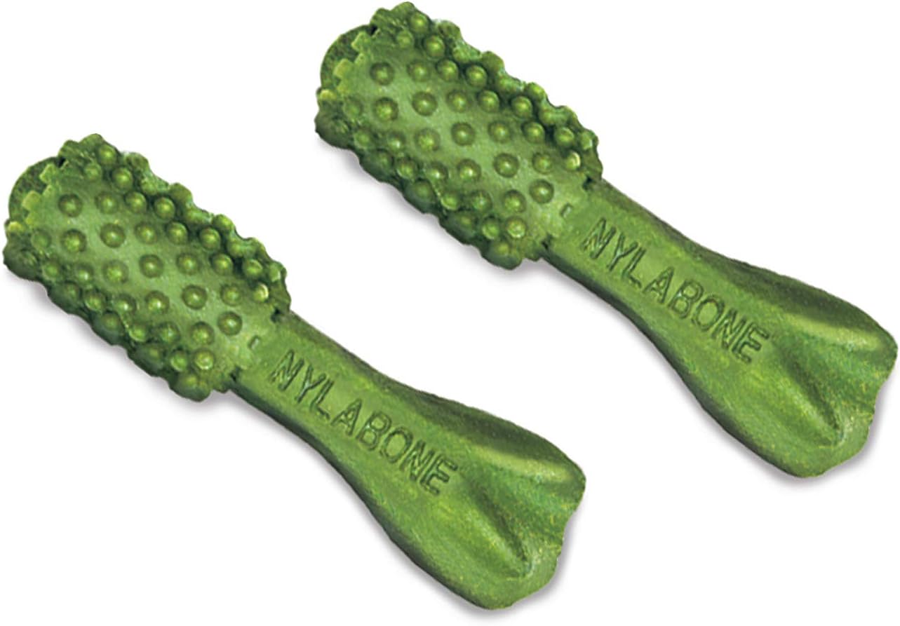 Nylabone Nutri Dent Dog Dental Chews - Natural Dog Teeth Cleaning & Breath Freshener - Dental Treats for Dogs - Fresh Breath Flavor, Mini (160 Count)