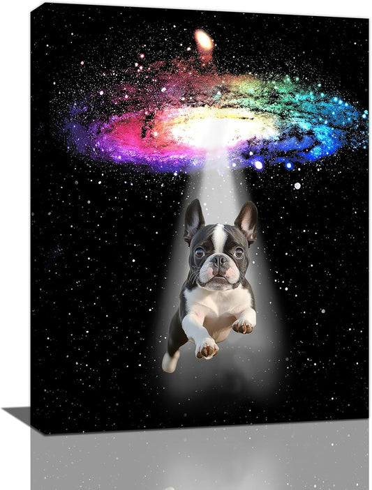 Funny Dog Wall Art Canvas Boston Terrier Wall Decor Prints Framed Painting Bulldog Galaxy Pictures Gifts Artwork for Bathroom 12"x16"