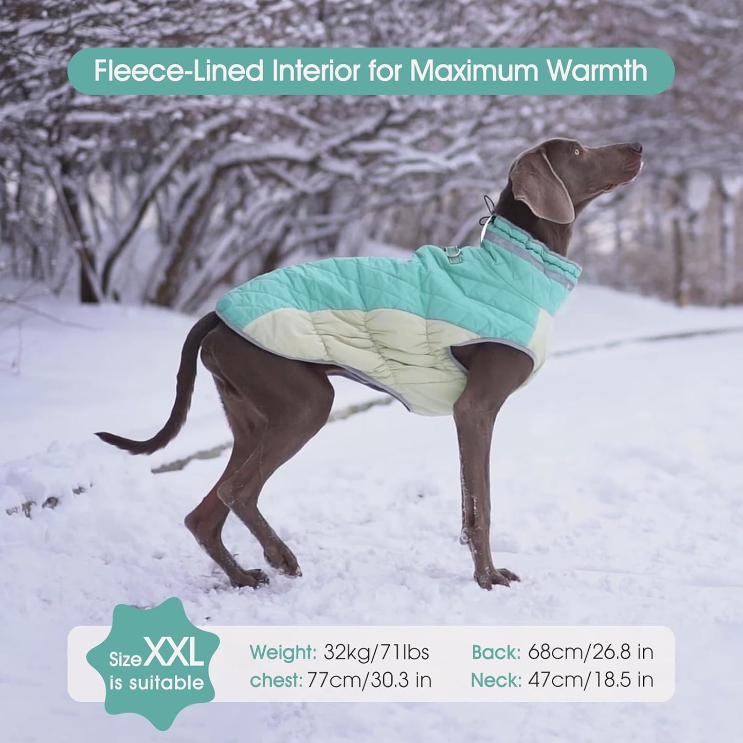 FUAMEY Dog Coat for Large Dogs,Waterproof Dog Winter Jacket with Harness Built in Puppy Cold Weather Coats Reflective Pet Vest with Zipper Warm Fleece Dogs Snowsuit Windproof Mint Green XL