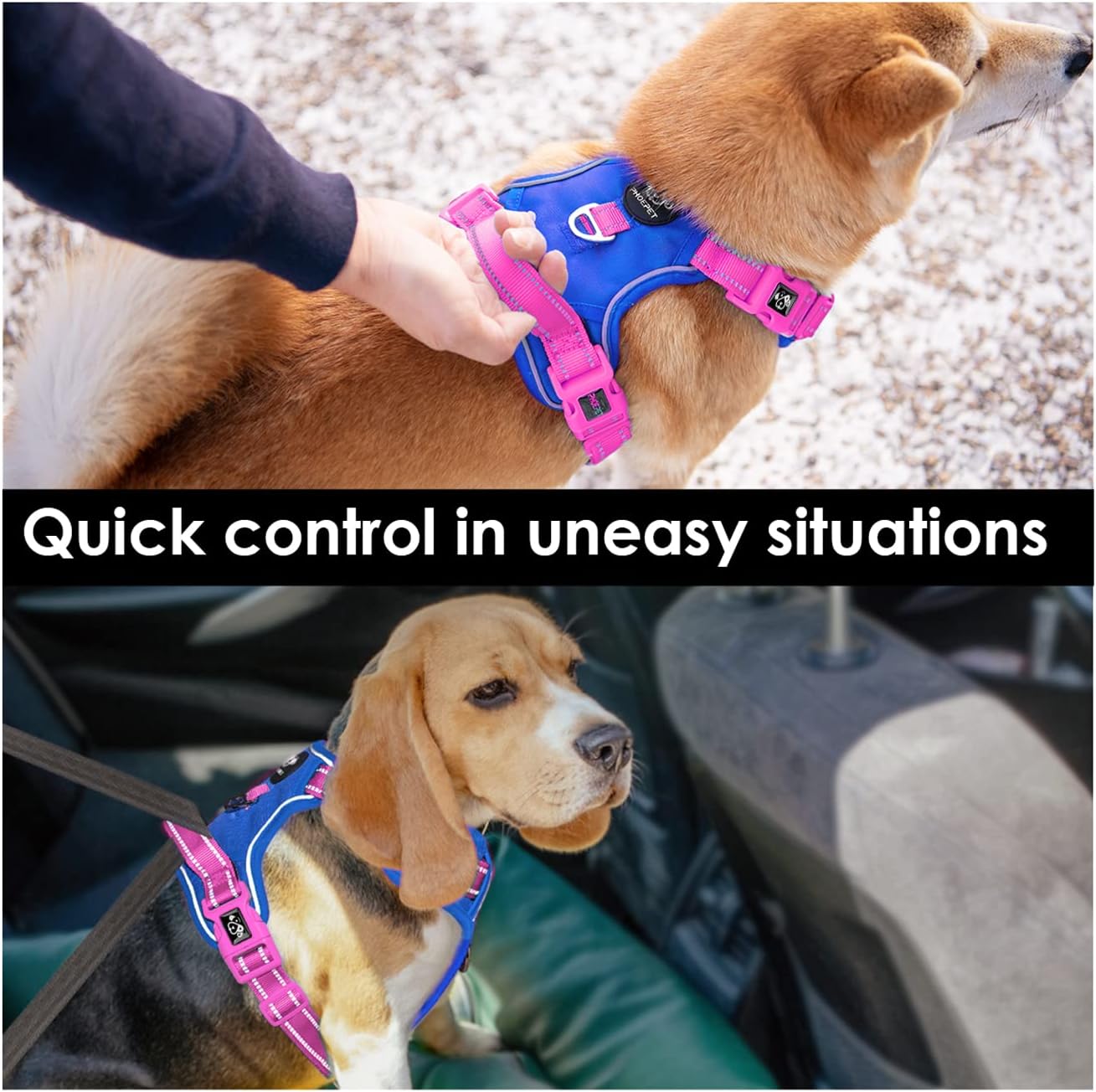 PHOEPET No Pull Dog Harness, Unique Colors Reflective Adjustable Dog Vest, with Soft Training Handle Metal Clips for Small Medium Large Dogs (Royal Blue Base & Pink Straps,S)