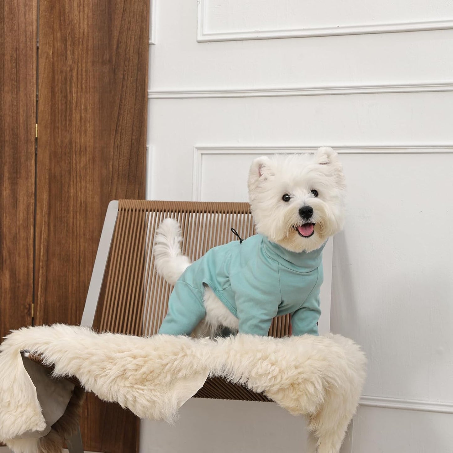 Dog Pajamas with Zipper Back, Adjustable Long Sleeve Pjs for Small Dogs, Anti-Licking Recovery Suit for Dogs After Surgery, Comfy Pet Onesie Outfit for Cocker Spaniel, French Bulldog, Green M