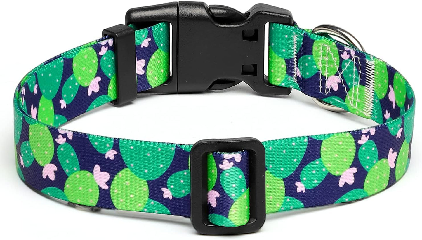 Mercano Adjustable Dog Collar - Special Design Patterns, Soft Nylon Comfortable Durable Pet Collar for Small Medium Large Dogs (M, Cactus)