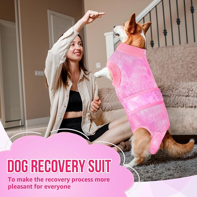 Lukovee Recovery Suit for Dogs - Zipper On Onesie for Female Male Dog, Abdominal Wounds Cone E-Collar Alternative, Prevent Licking Spay (Pink-TPI, L)