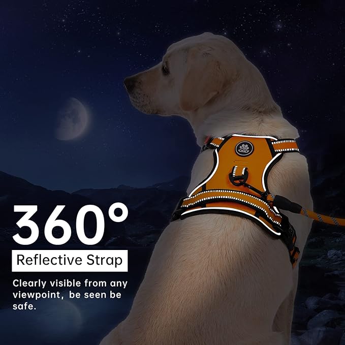 IVY&LANE No Pull Dog Harness for Medium Dogs, Dog Vest Harness with Leash, Safety Belt and Storage Strap, Fully Adjustable Harness, 360° Reflective Strip, Soft Handle (Orange, M)
