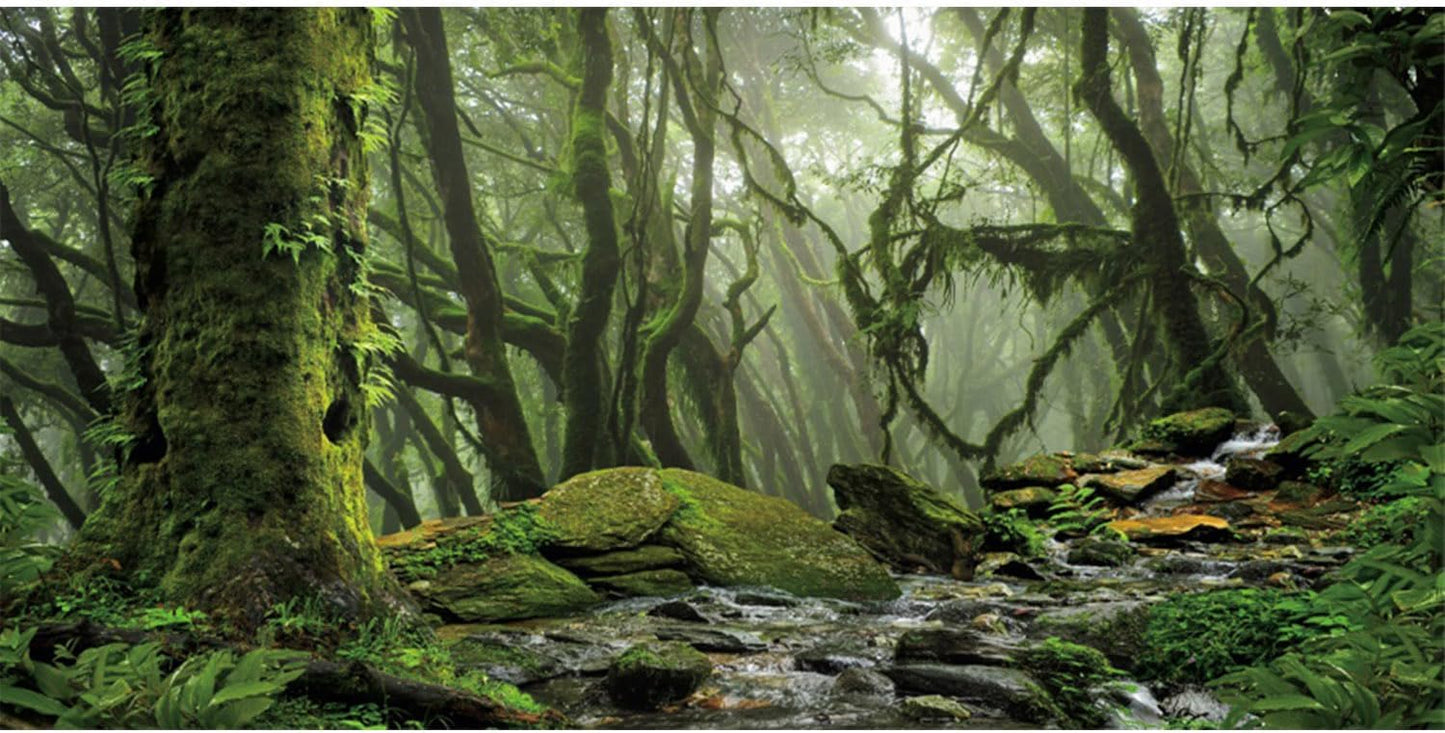 AWERT Foggy Forest Terrarium Background Stream Green Huge Tree Reptile Habitat Background Tropical Rainforest Aquarium Background 36x24 inche36x24in90x60cm