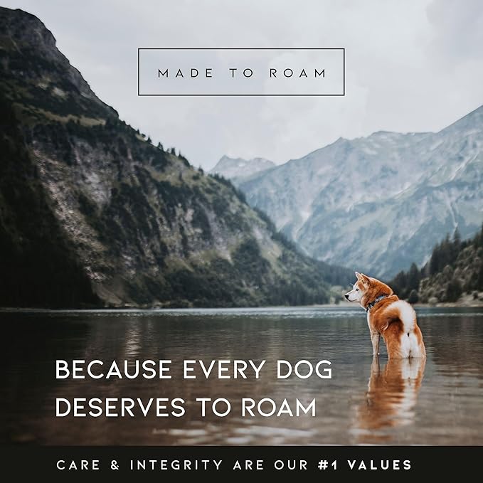 MADE TO ROAM Premium Explorer Harness - Y-Shaped Dog Harness with Adjustable Durable Nylon, Soft Padding, Metal Buckles and Leather Handle for Small, Medium, Large Dogs (Texas Flair, Size 2)