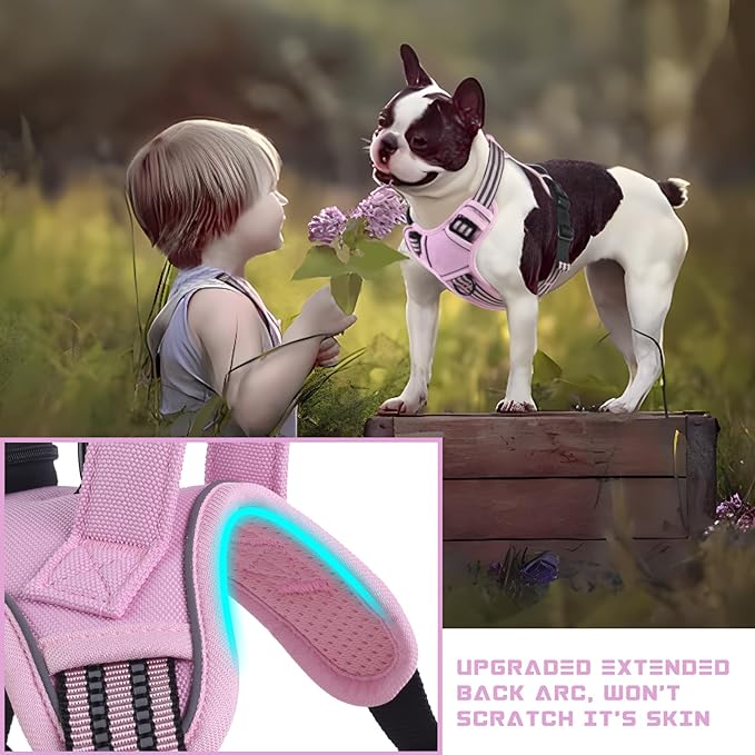 BUMBIN Dog Harness for Large Dogs, No Pull Adjustable No Choke Pet Vest with Dog Leash Fit Smart Reflective Pet Walking Harness for Training Easy Control Soft Handle Pink M
