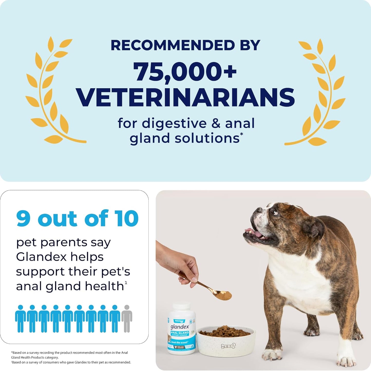 Vetnique Labs Glandex Dog Fiber Supplement Powder for Anal Glands with Pumpkin, Digestive Enzymes & Dog Probiotics for Digestive Health - Vet Recommended - Boot The Scoot (Beef Liver, 2.5oz Powder)