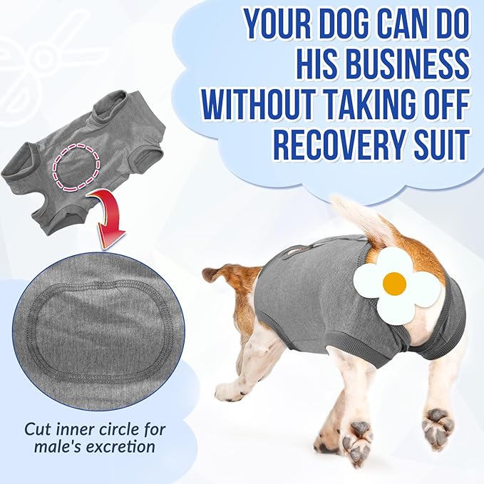 Lukovee Recovery Suit for Dogs, Onesie Surgery Recovery Suit for Female Male Dogs, Abdominal Wounds Cone E-Collar Alternative Prevent Licking Spay Recovery Suit (GY,XXL)