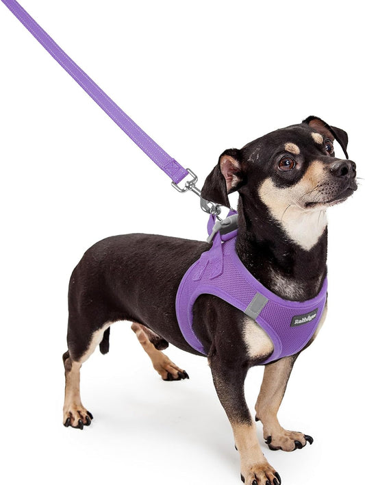 rabbitgoo Dog Harness Small Sized and Leash Set, Step in Soft Light Puppy Vest, Breathable Mesh Pet Harness, Reflective for Outdoor Safe Walking, Purple XXXS