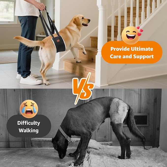 LOOBANI Portable Dog Sling for Back Legs, Hip Support Harness to Help Lift Rear for Canine Aid Old K9 Cruciate Ligament Rehabilitation