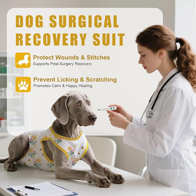 Recovery Suit for Dogs After Surgery, Professional Dog Surgical Suit for Female Spay, Male Neuter, E-Collar & Cone Alternative Dog Onesie for Abdominal Wounds Skin Disease, Yellow, L