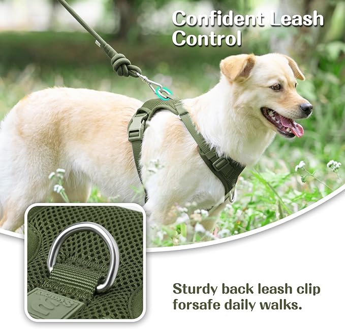 No Pull Dog Harness for Small Medium Large Dogs - Adjustable Two-Layer Mesh Dog Vest with Dual Clip, Escape Proof, Quick Release, Lightweight Breathable Mesh for Walking Hiking (Misty Green,L)