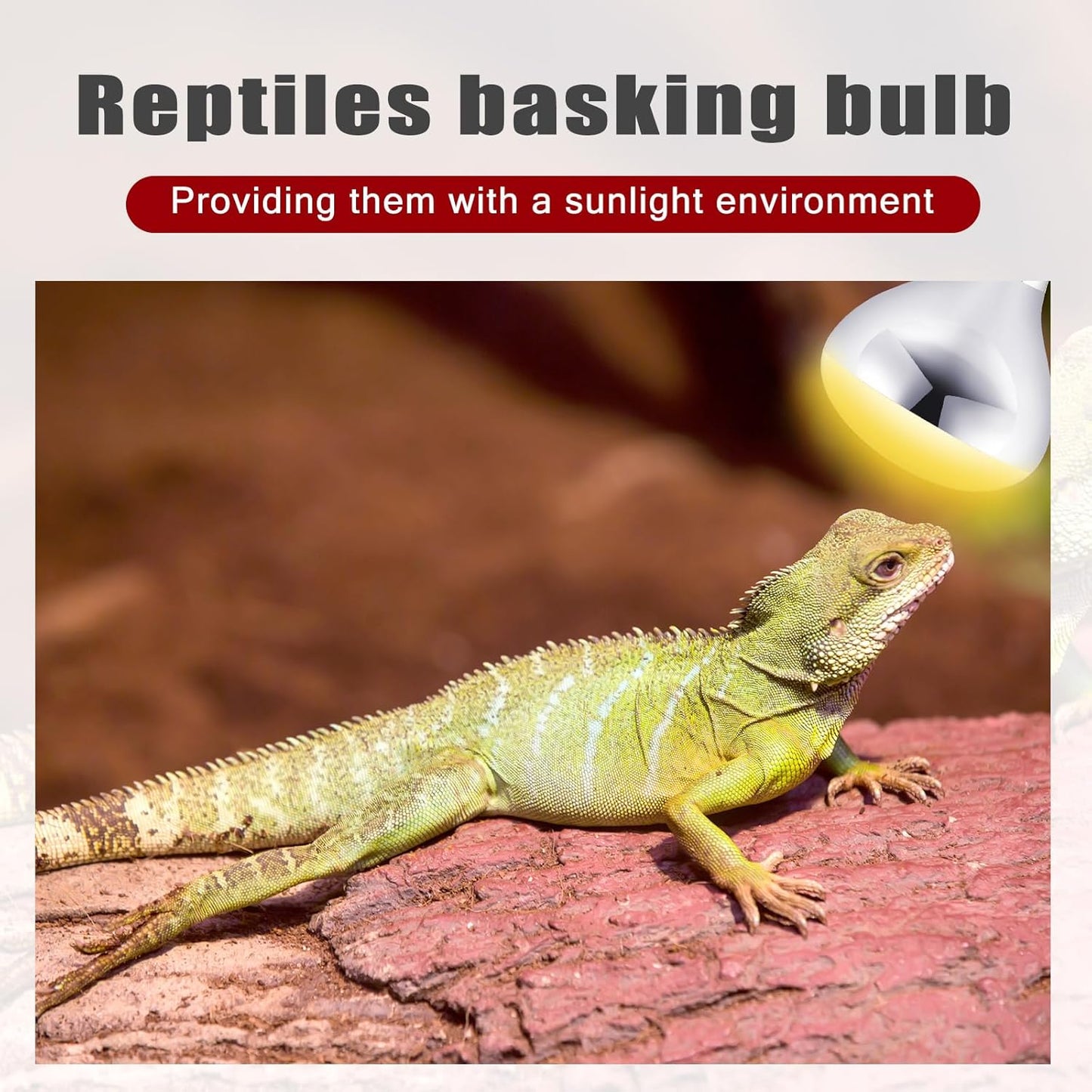 VIHOSE 4 Pack 250 Watt Heat Lamp 120v R40 Heat Lamp Bulbs Glass Incandescent Light Bulbs Incandescent Heating Lightbulbs for Reptiles Chicks Food Puppies Bathroom, Use E26 Base (Silver,Red)