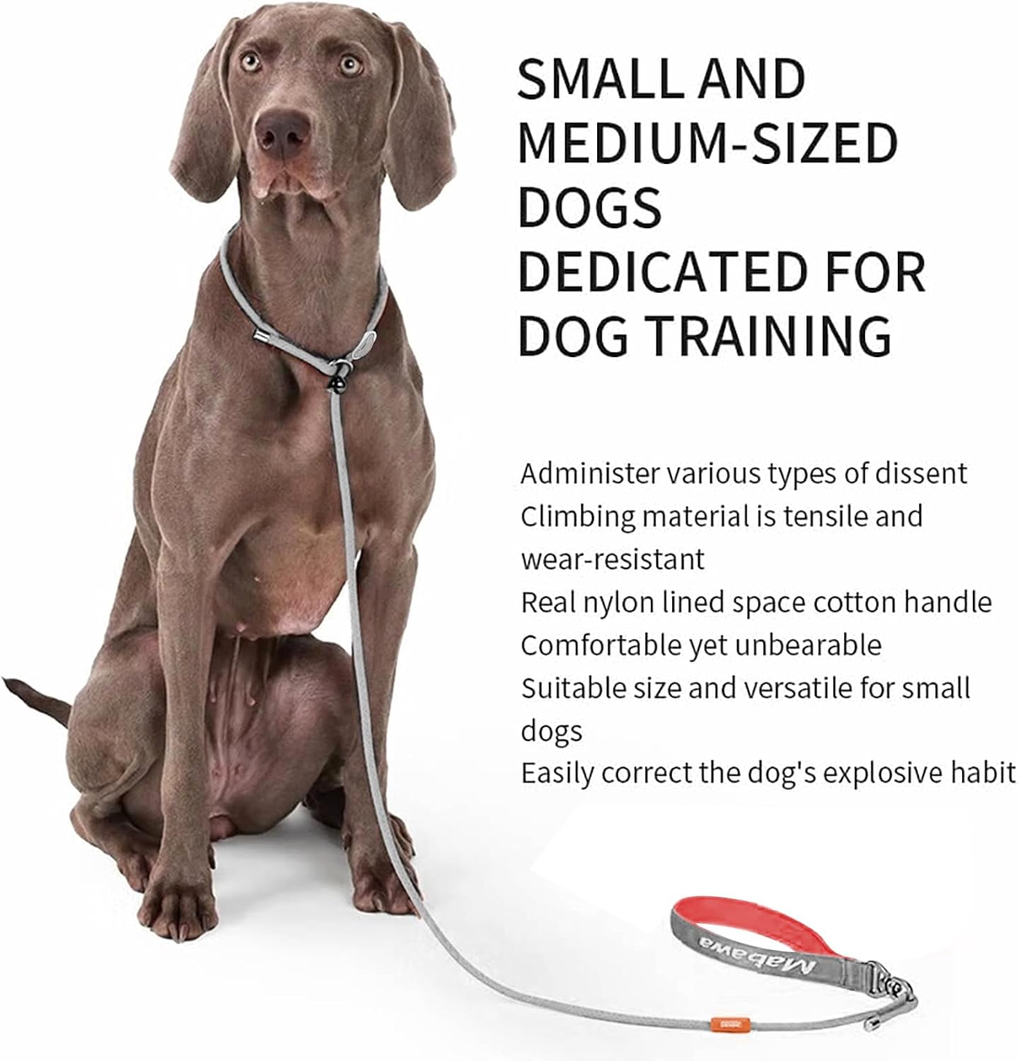 Dog Anti-Slip Leash 5FT with Metal Stopper - Durable No-Pull Training Lead for Small, Medium & Large Dogs - Comfortable Handle Nylon Rope, Tangle-Free Pet Walking Leash (Gray, 5 FT)