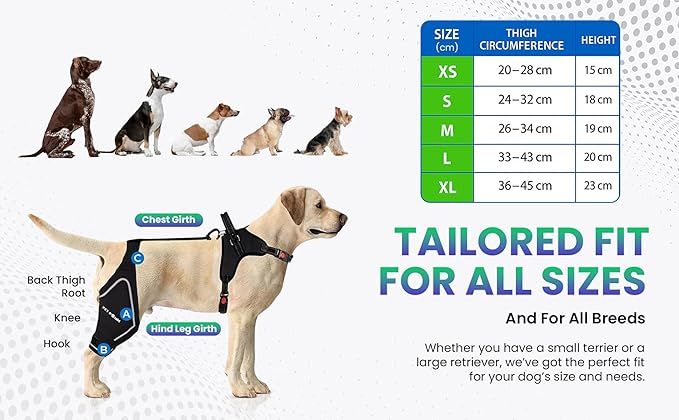 Petpanm- Adjustable Dog Knee Brace- Right Hind Leg with Integreted Harness- Premium Support for Torn ACL, Sprains & Strains Recovery, Enhances Mobility, Comfortable Neoprene- (Small)