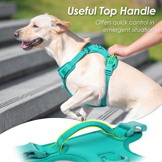 No Pull Dog Harness, Puppy Vest with Front Clip for Small Medium Large Sized Dog(MARRS Green,XS)