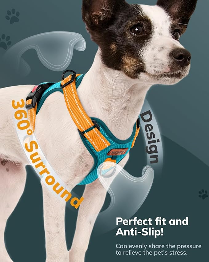 MIDOG No-Pull Dog Harness | Adjustable & Reflective Pet Harness Leash Set for Small Medium Large Dogs Walking, Training| No Choke, Front Clip, Soft Padded Vest with Easy Control Handle - Blue, XS