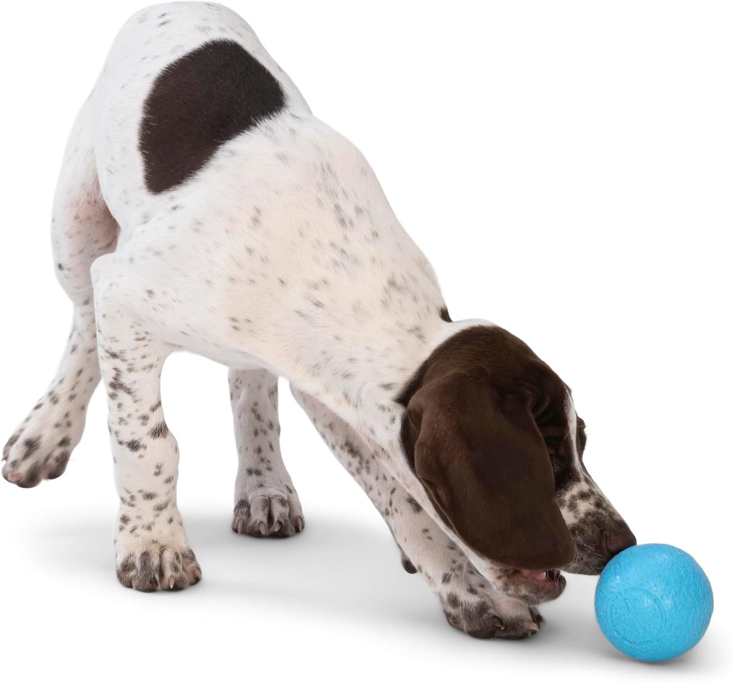 WEST PAW Boundr Ball Dog Fetch Toy – Bouncing Toys for Dogs, Fetch, Catch, Chewing, Play – Floatable, Recyclable Balls – Small Aqua Blue/Dandelion Yellow 2-Pack