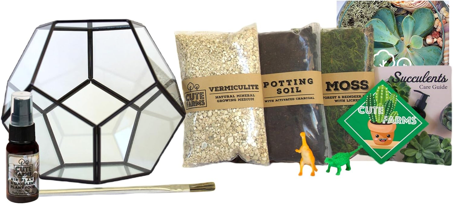 Cute Farms Glass Terrarium Kit | Just Add Your Own Plants (Geometric Glass)