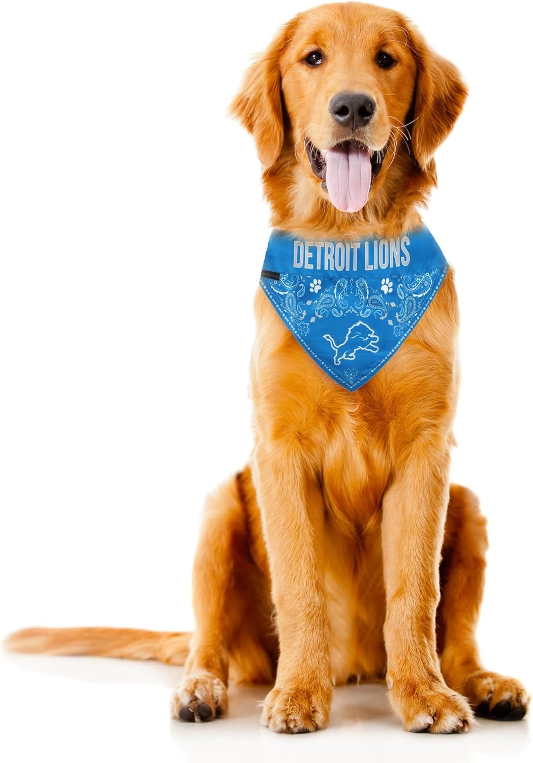 Littlearth NFL Pet Bandana - Reversible