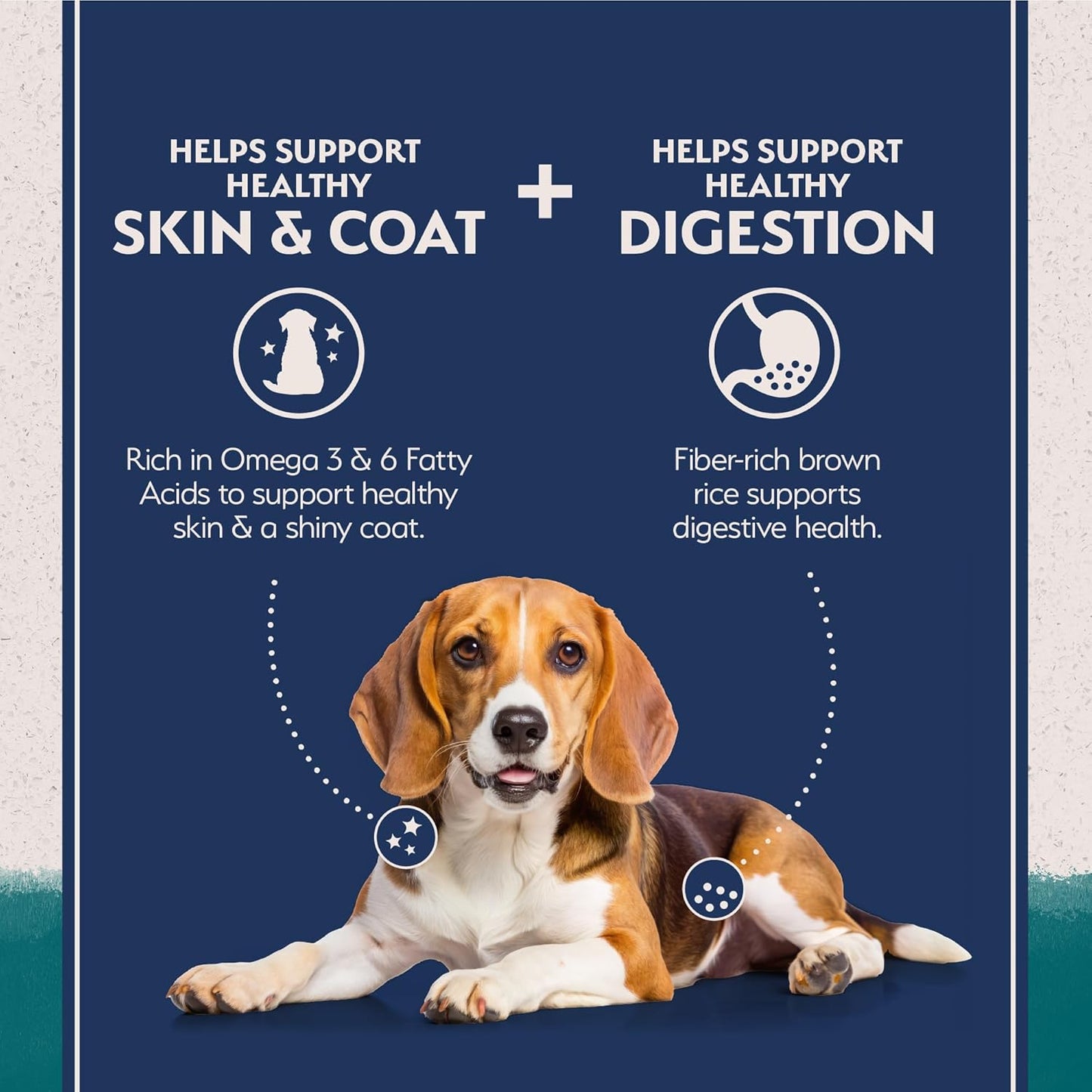 Natural Balance Limited Ingredient Adult Dry Dog Food with Healthy Grains, Chicken & Brown Rice Recipe, 4 Pound (Pack of 1)