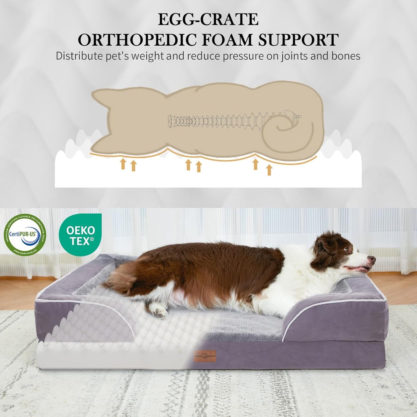 Comfort Expression Medium Dog Beds Waterproof Orthopedic Foam Dog Sofa Beds for Medium Large Dogs Comfy Pet Bed with Washable Removable Cover & Non-Slip Bottom(Medium,Purple)