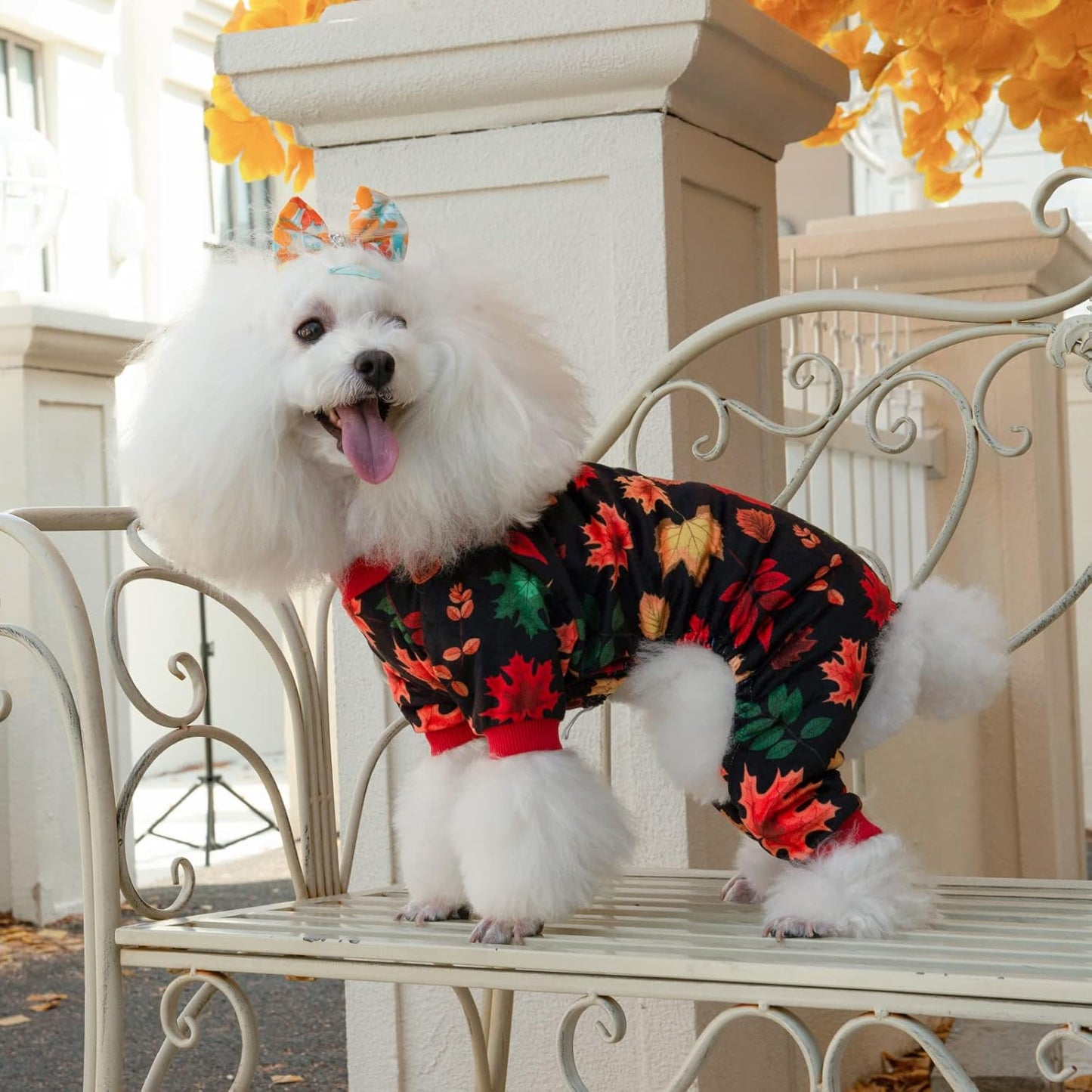 CuteBone Dog Halloween Pajamas Puppy Onesies Small Dogs Soft Pjs Coat Cat Apparel Comfy Pet Christmas Clothes Outfit Doggie Bodysuit P265L