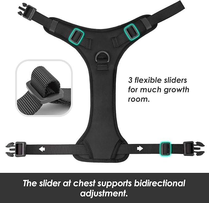 No Pull Dog Harness, Puppy Vest with Front Clip for Small Medium Large Sized Dog(Black,M)